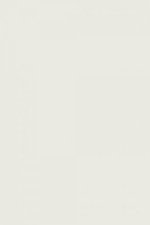 FARROW AND BALL GREAT WHITE NO. 2006 PAINT